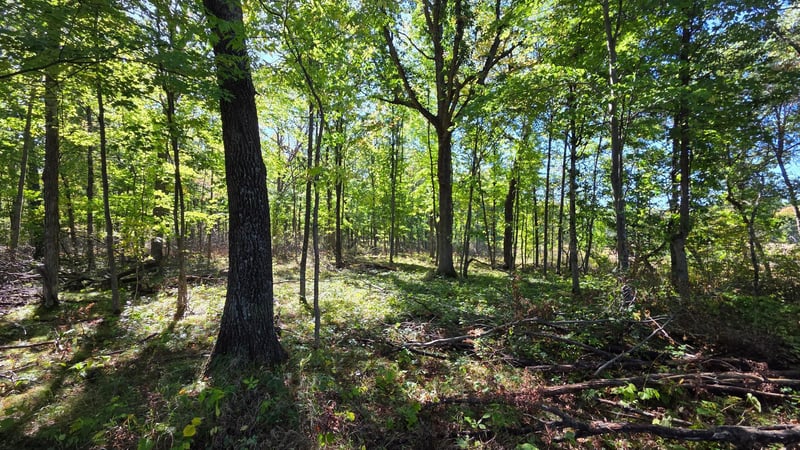 XXX Herrick Rd, Siren, WI 54872