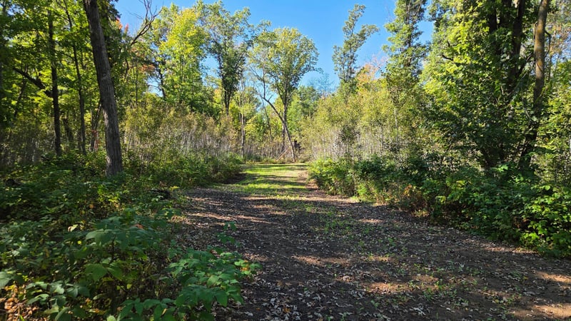 XXX Herrick Rd, Siren, WI 54872