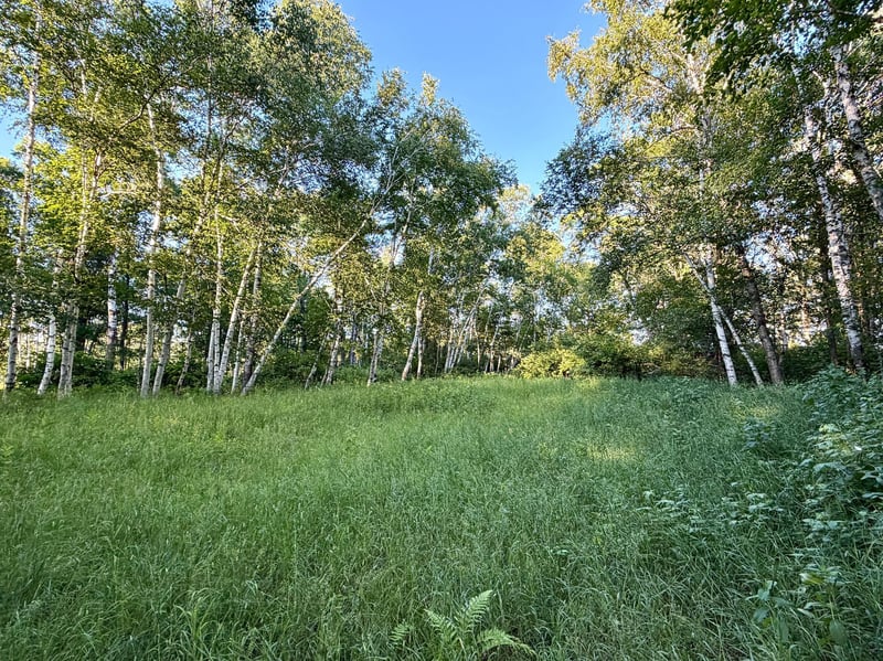 L17B1 Acorn Ridge Rd NW, Bemidji, MN 56601