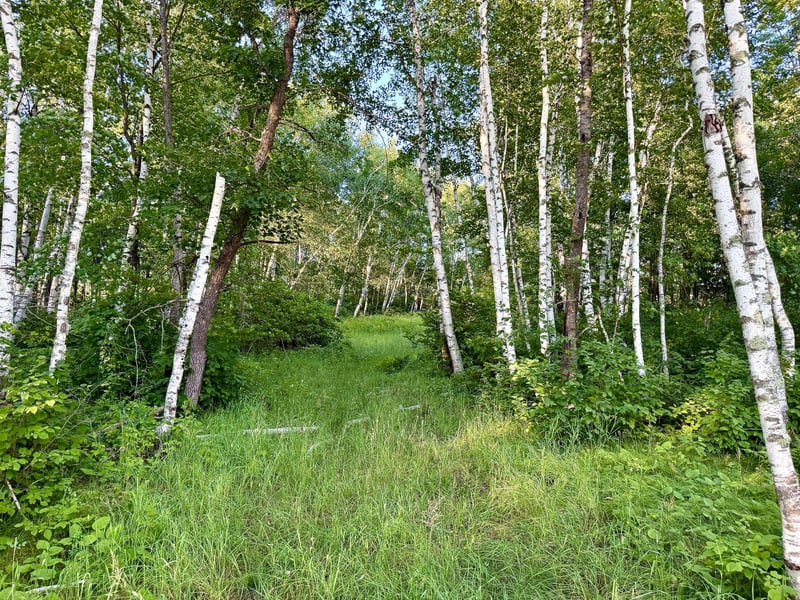 L17B1 Acorn Ridge Rd NW, Bemidji, MN 56601