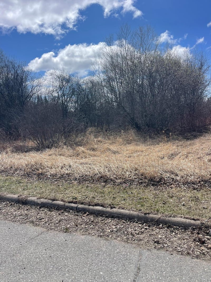 87XX Arbor Ln, Mountain Iron, MN 55768