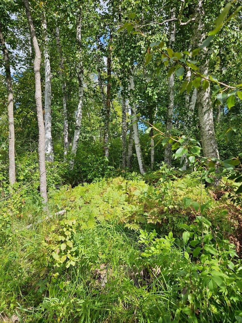0 Birch Circle Dr NW, Baudette, MN 56623
