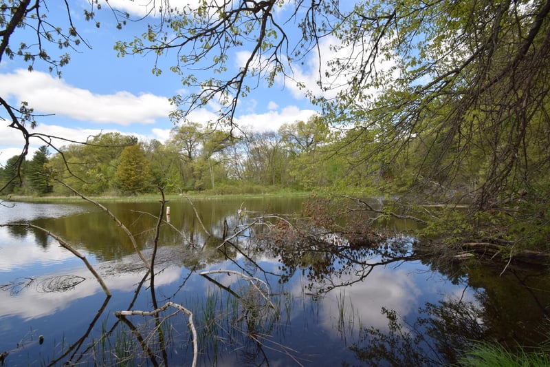 25383 Mansfield Rd, Webster, WI 54893