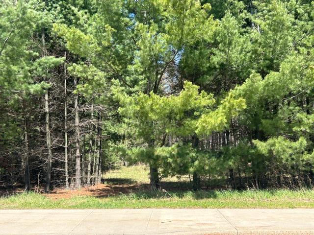 xxx Ridgewood Rd, Grand Rapids, MN 55744