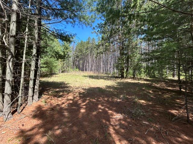 xxx Ridgewood Rd, Grand Rapids, MN 55744