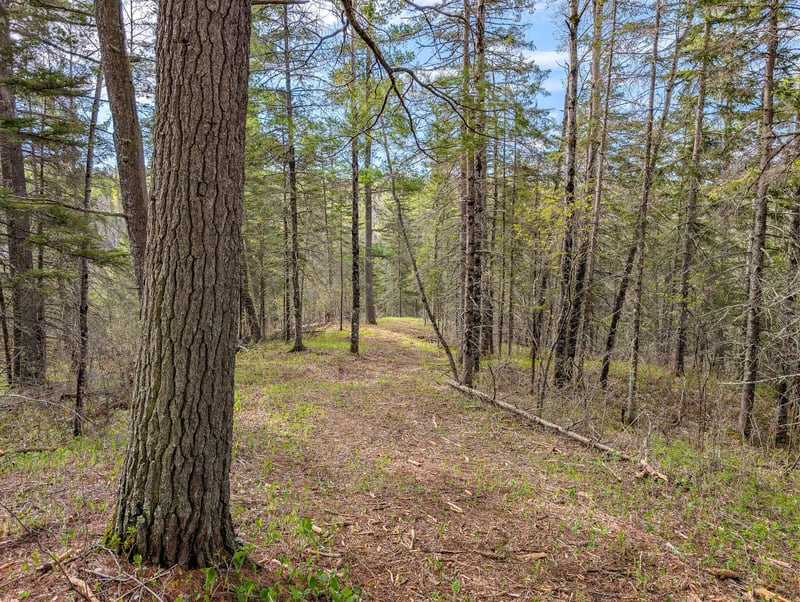 992 Nemadji River Rd, Holyoke, MN 55749