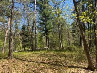 8293 Interlachen Rd, Lake Shore, MN 56468