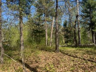 8293 Interlachen Rd, Lake Shore, MN 56468