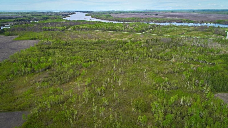TBD State Hwy 172 Cliff, Baudette, MN 56623