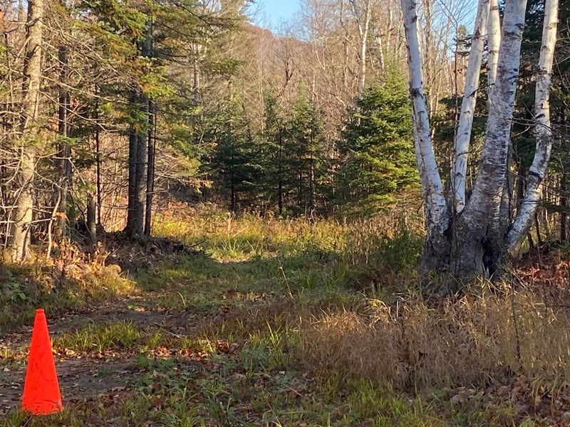 5121 Mount Rockwood Rd, Beaver Bay Twp, MN 55614
