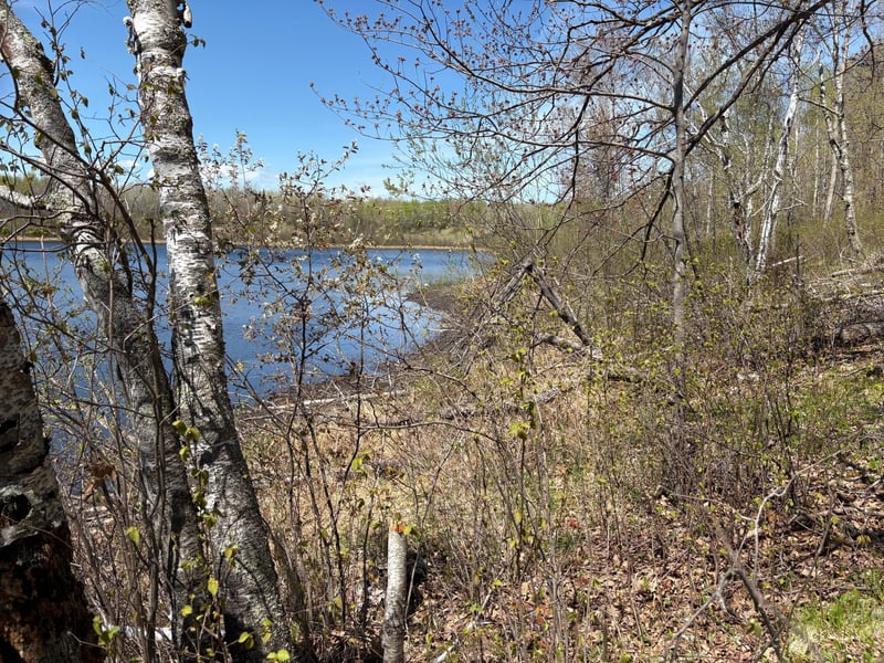 854x W Chub Lake Rd, Carlton, MN 55718