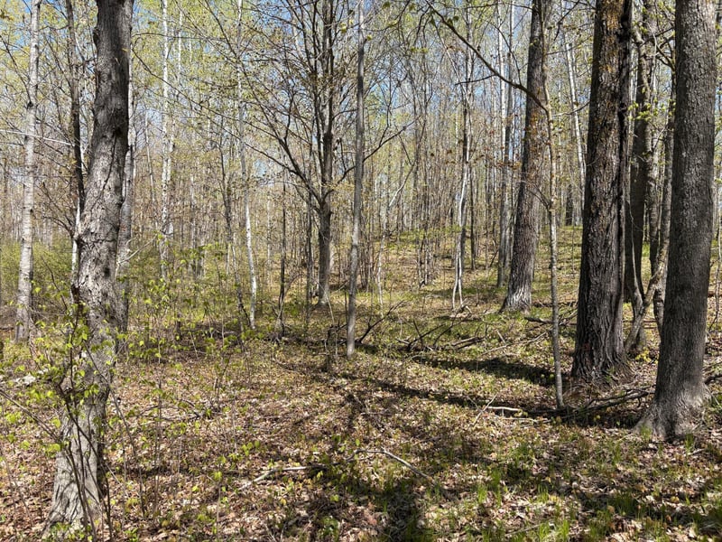 854x W Chub Lake Rd, Carlton, MN 55718