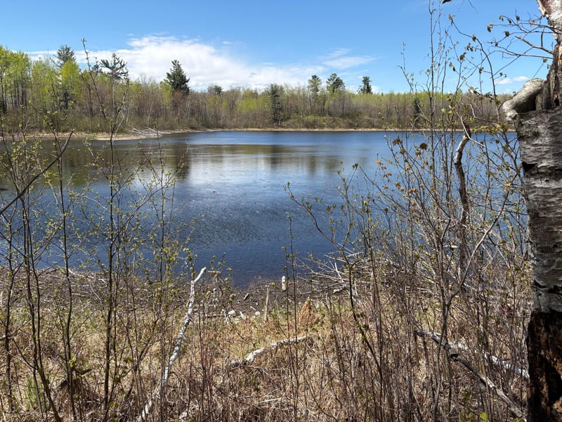 854x W Chub Lake Rd, Carlton, MN 55718