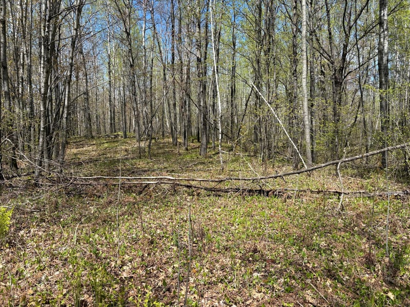 854x W Chub Lake Rd, Carlton, MN 55718