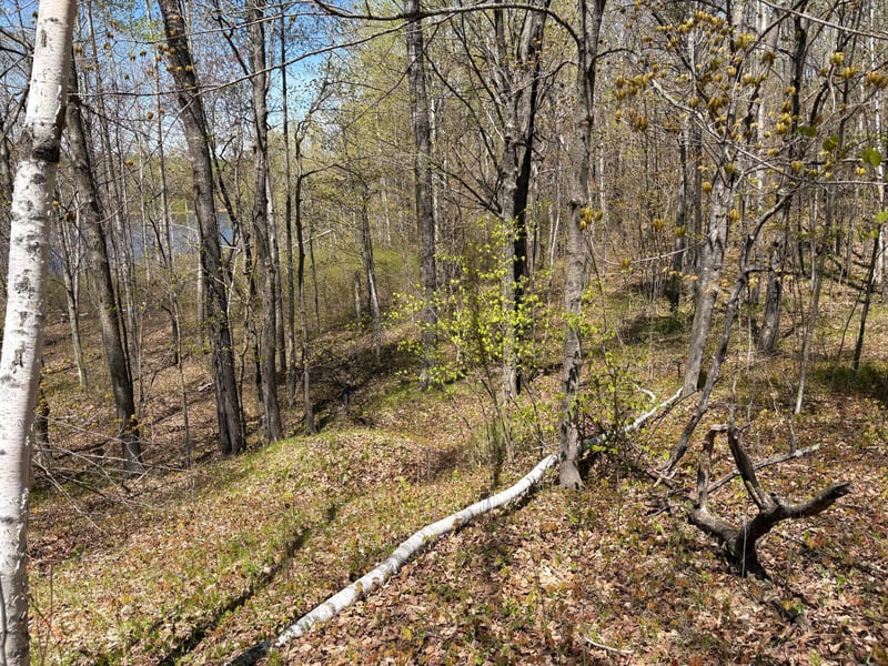 854x W Chub Lake Rd, Carlton, MN 55718