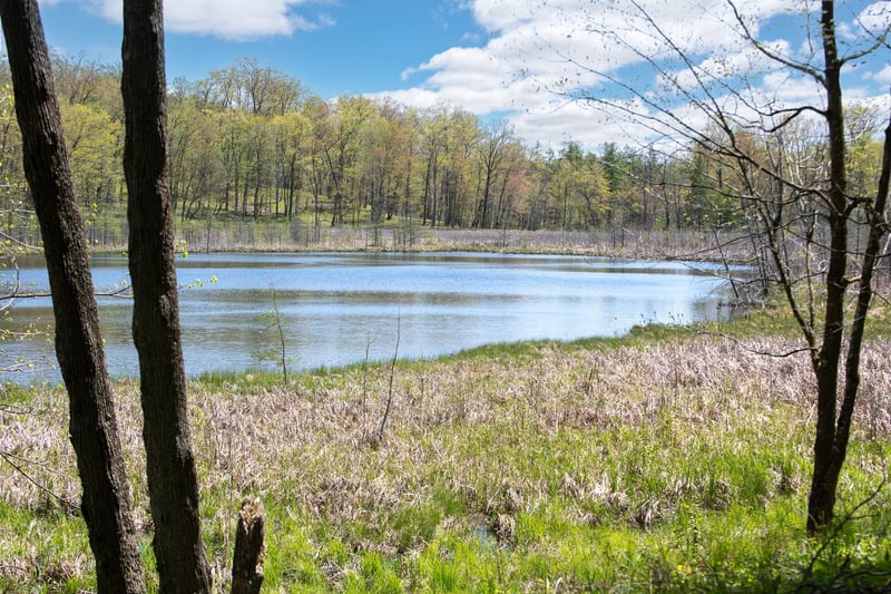 TBD 170th Ave/cty Rd I, Balsam Lake, WI 54810