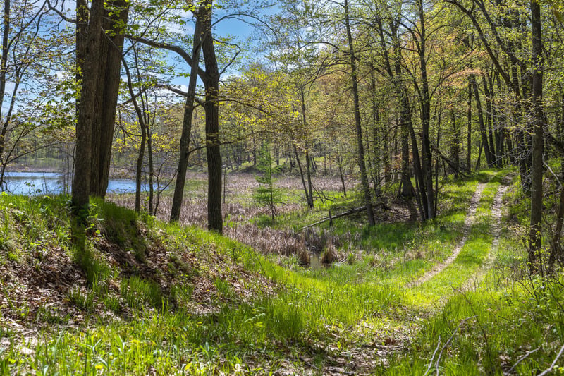 TBD 170th Ave/cty Rd I, Balsam Lake, WI 54810