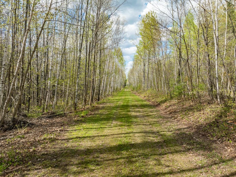 35020 E County Line Rd, Hill City, MN 55748
