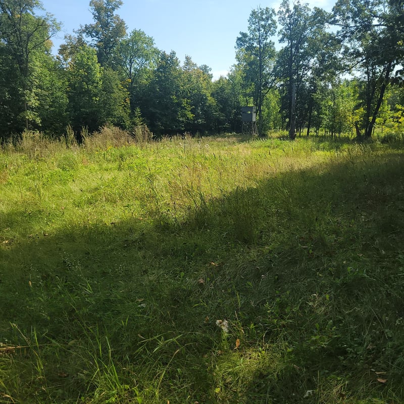 TBD Jeff Lake Rd, Richville, MN 56576