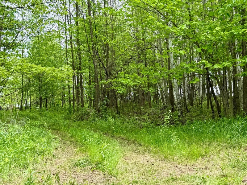 1065 105th Ave, Milaca, MN 56353