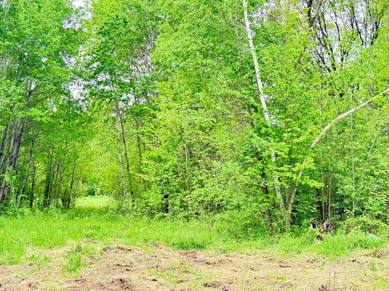 1065 105th Ave, Milaca, MN 56353