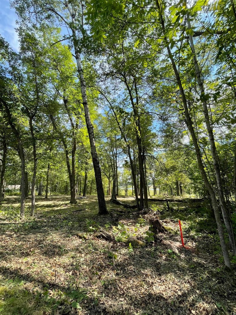 TBD Wedgewood Rd NW, Walker, MN 56484