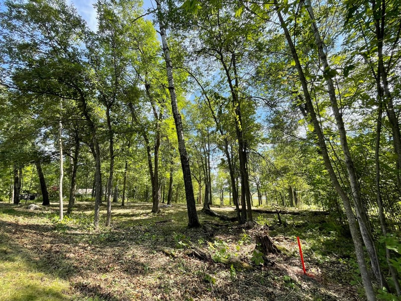 TBD Wedgewood Rd NW, Walker, MN 56484