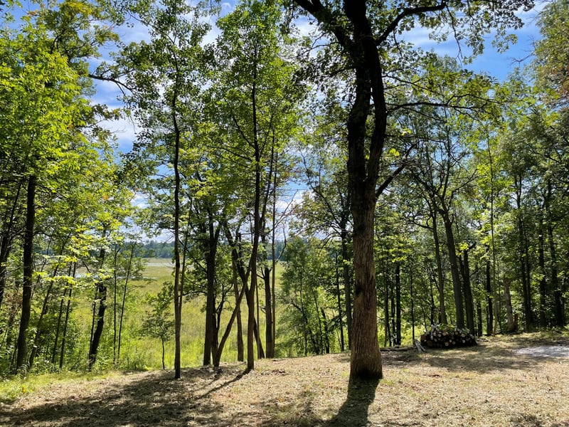 TBD Wedgewood Rd NW, Walker, MN 56484
