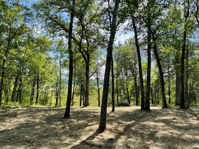 TBD Wedgewood Rd NW, Walker, MN 56484