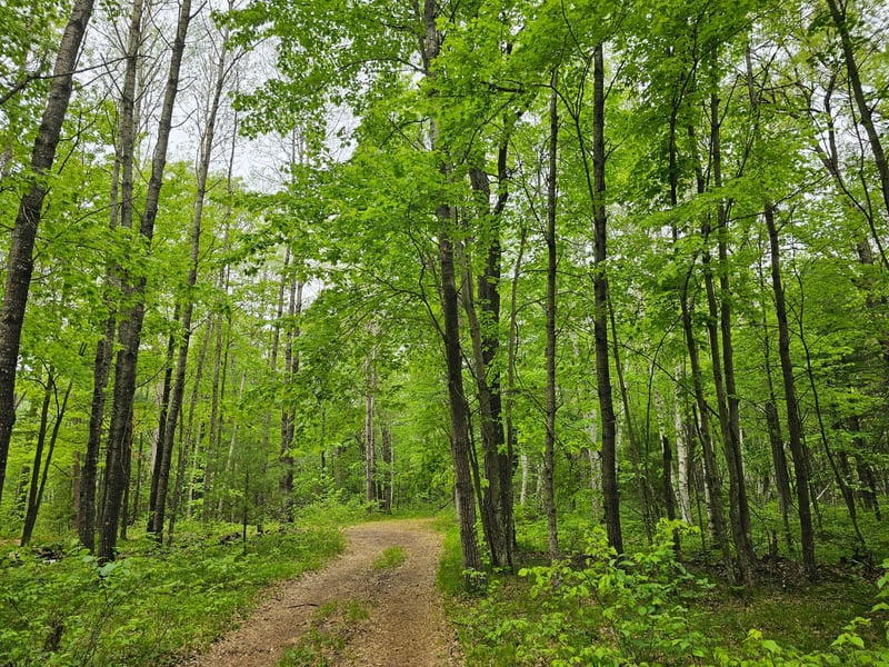 25227 Kruger Rd, Webster, WI 54893