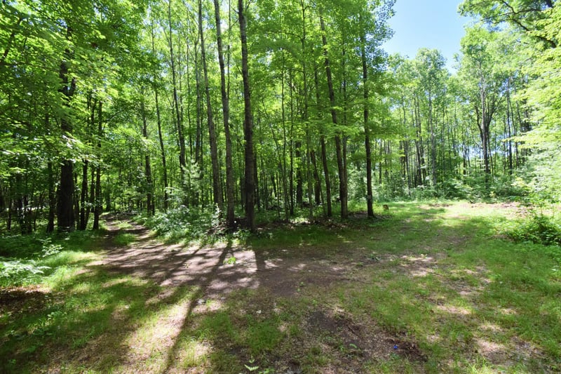 25227 Kruger Rd, Webster, WI 54893
