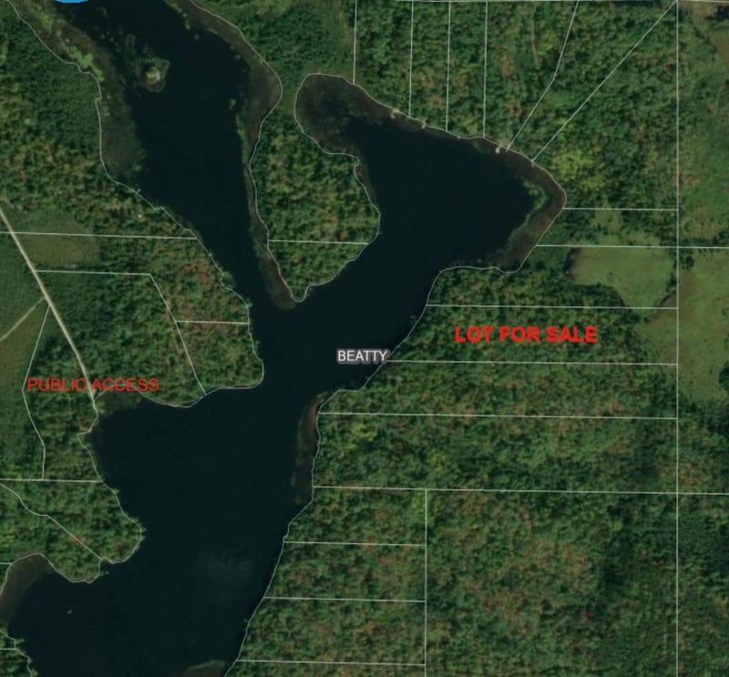 TBD North Arm Elbow Lake E, Cook, MN 55723