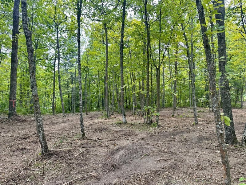 TBD County Road 157 NE, Remer, MN 56672