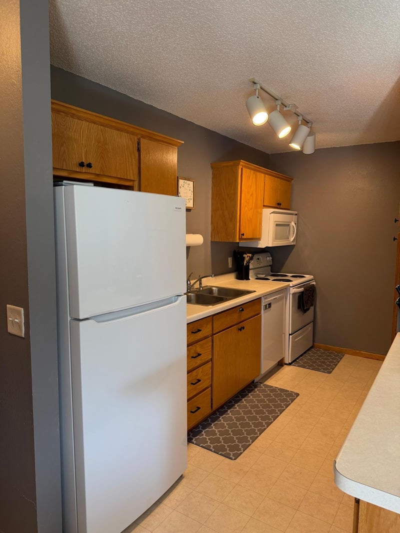 266 1st St SE, Avon, MN 56310