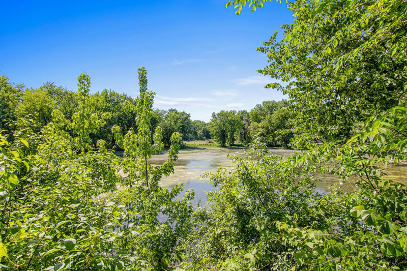 1377 2nd Ave, Newport, MN 55055