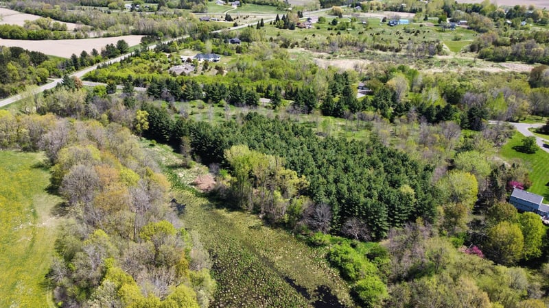 TBD Nueman Trl, Lindstrom, MN 55045