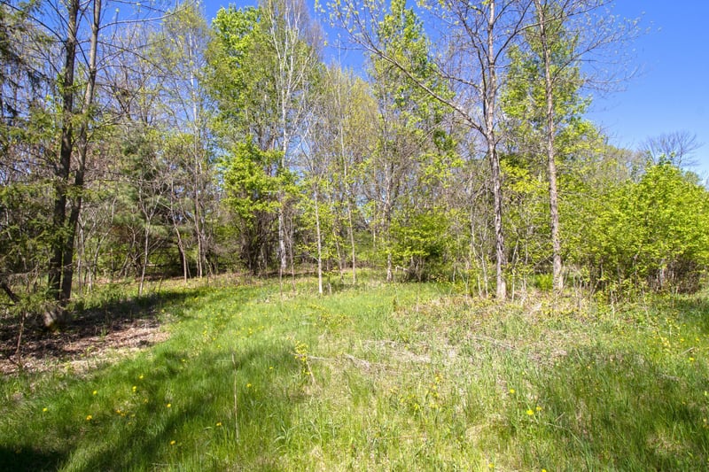 TBD Northland Trl, Lindstrom, MN 55045