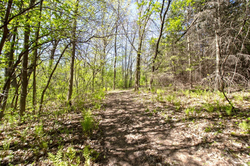 TBD Northland Trl, Lindstrom, MN 55045