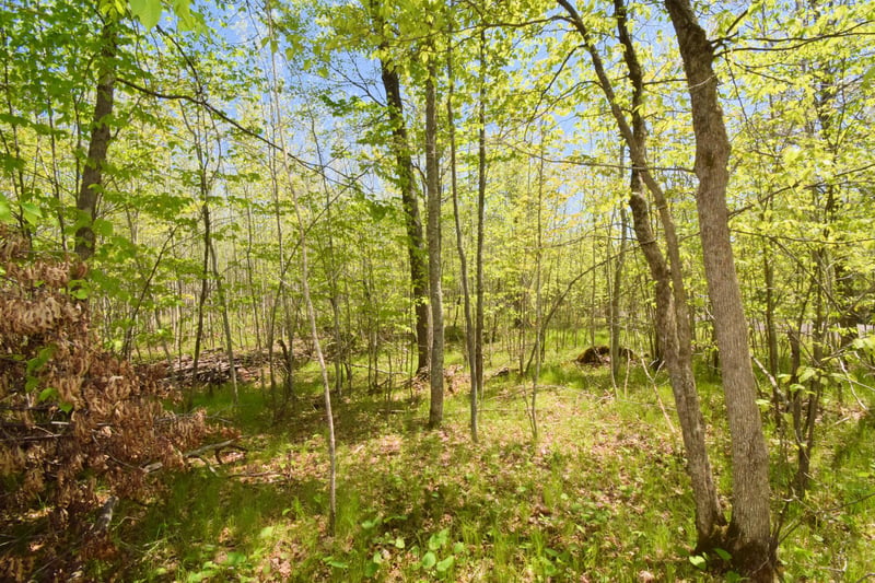 Lot 10 Fremsted Rd, Danbury, WI 54830