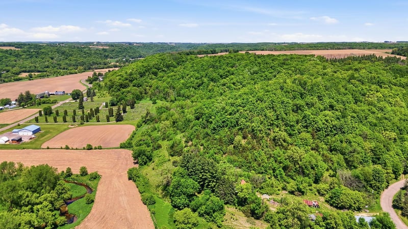 31 acres Cty Rd S, Plum City, WI 54761