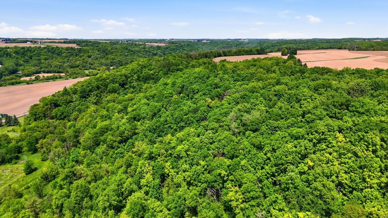 31 acres Cty Rd S, Plum City, WI 54761