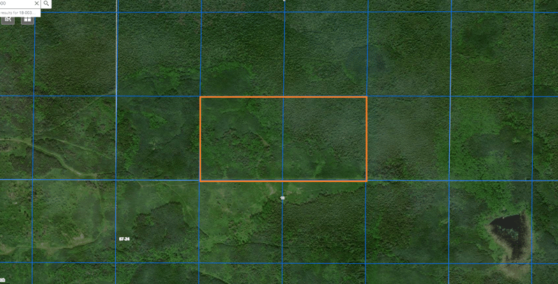 TBD County Road 8, Littlefork, MN 56653