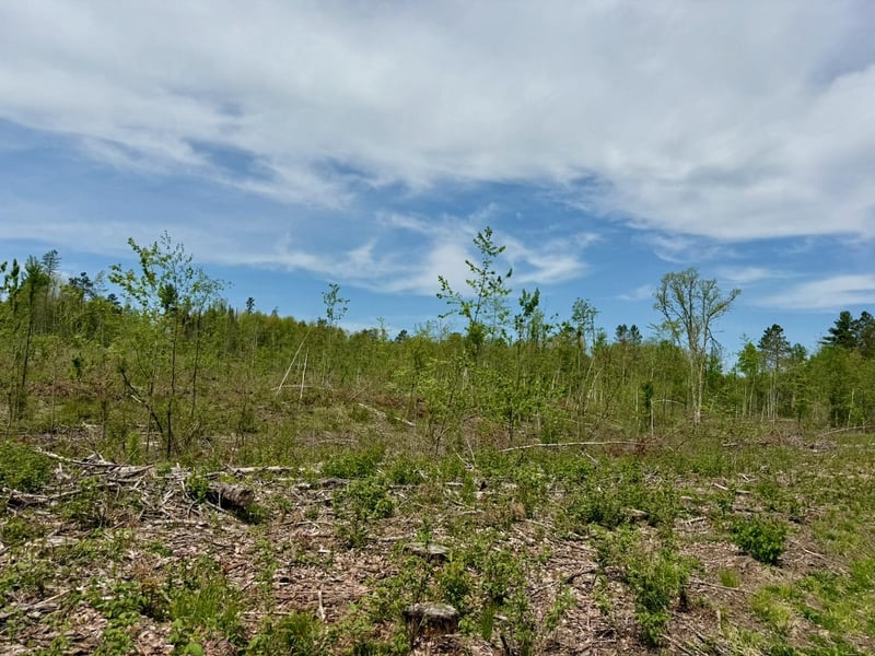 XYZ County Road 39, Willow River, MN 55795