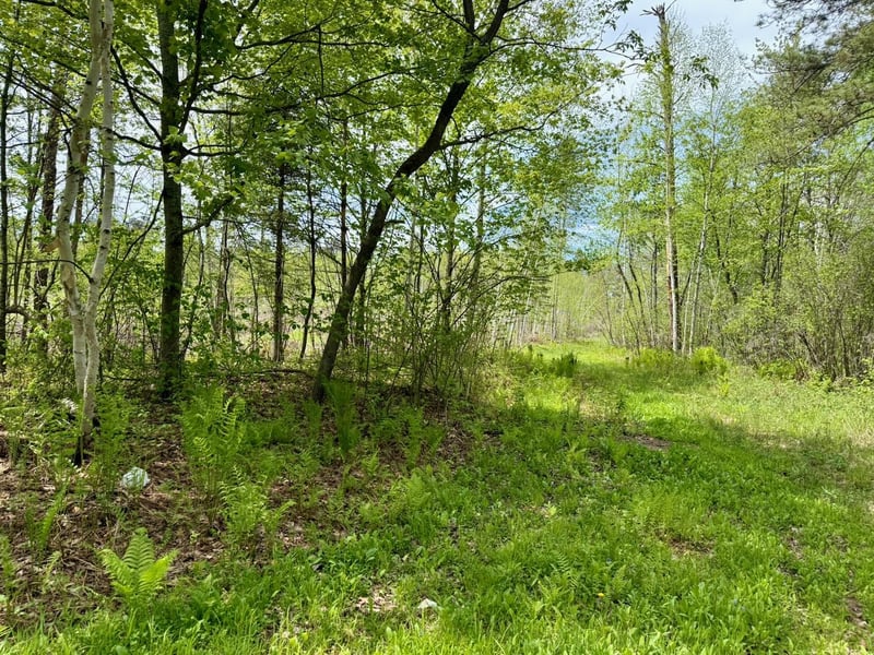 XYZ County Road 39, Willow River, MN 55795
