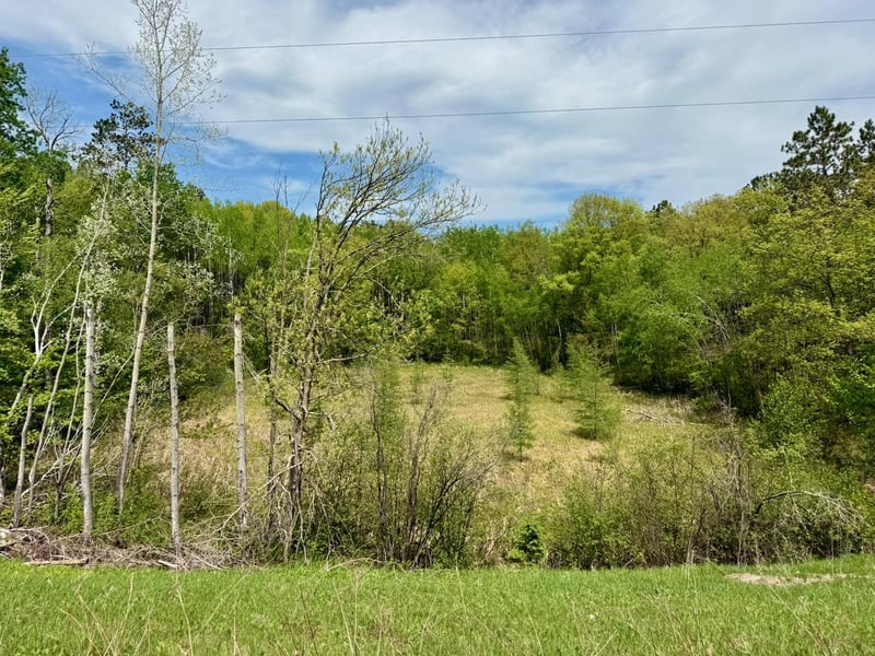 XYZ County Road 39, Willow River, MN 55795