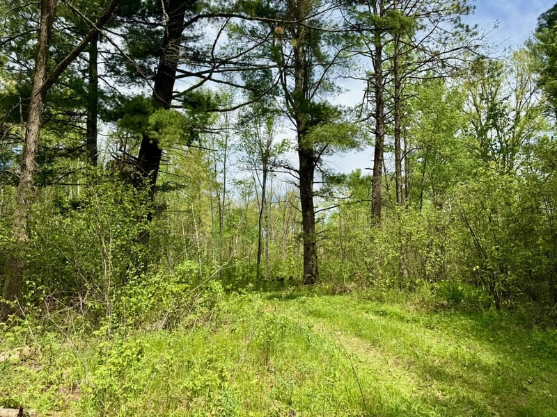XYZ County Road 39, Willow River, MN 55795