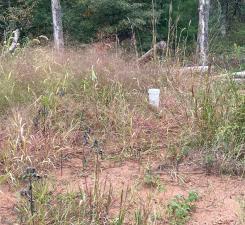 21030 Cemetery Rd, Grantsburg, WI 54840