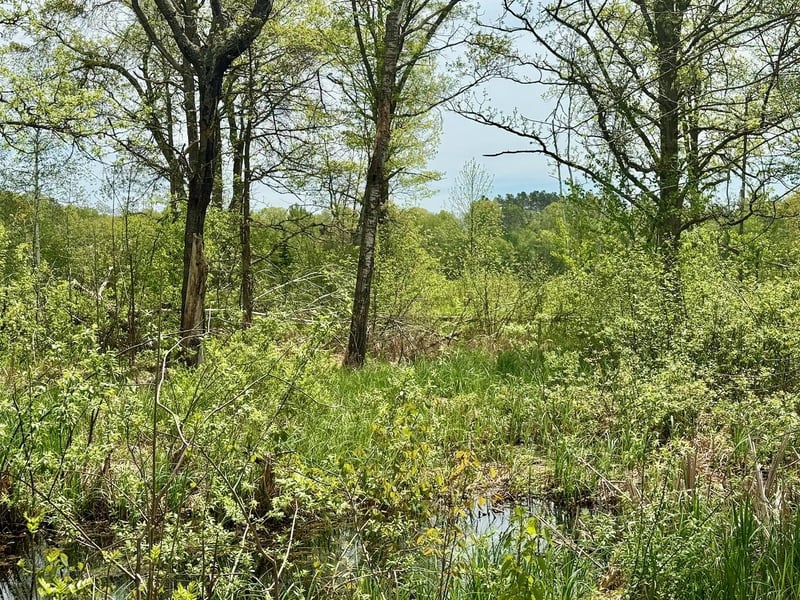 XYZ Dailey Lake Rd, Willow River, MN 55795