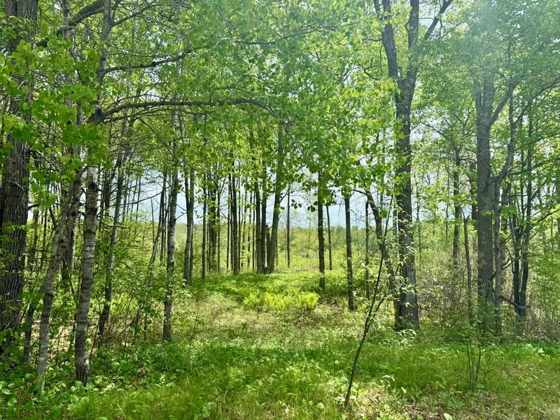 XYZ Dailey Lake Rd, Willow River, MN 55795