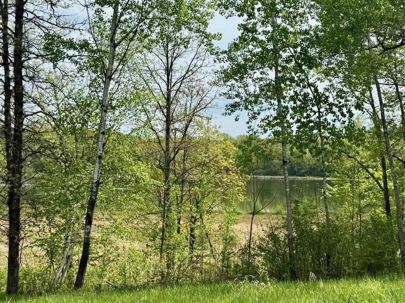XYZ Dailey Lake Rd, Willow River, MN 55795